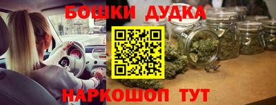 прущие грибы Лесосибирск