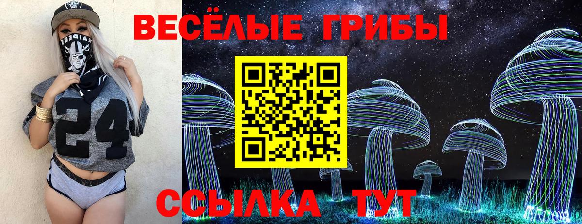 Псилоцибиновые грибы Cubensis Усть-Илимск