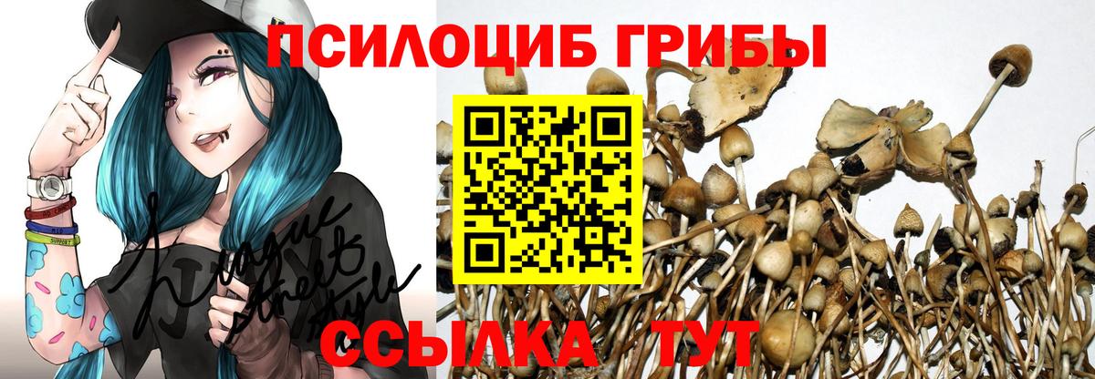 Усть-Илимск  Галлюциногенные грибы мухоморы  Вход с VPN  Галлюциногенные грибы прущие грибы 